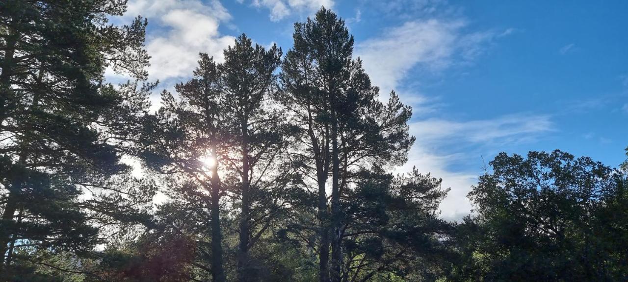 Bb@No17 Bed and Breakfast Aviemore Esterno foto