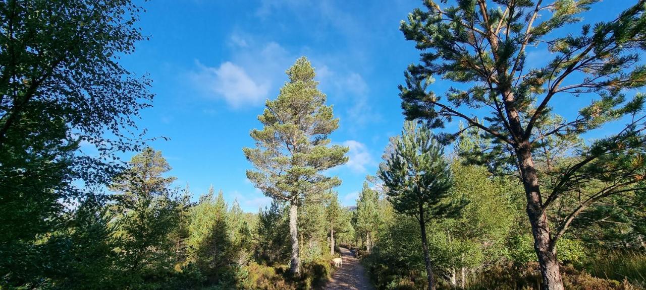 Bb@No17 Bed and Breakfast Aviemore Esterno foto