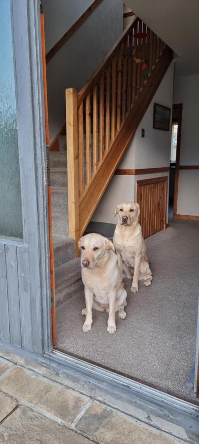 Bb@No17 Bed and Breakfast Aviemore Esterno foto